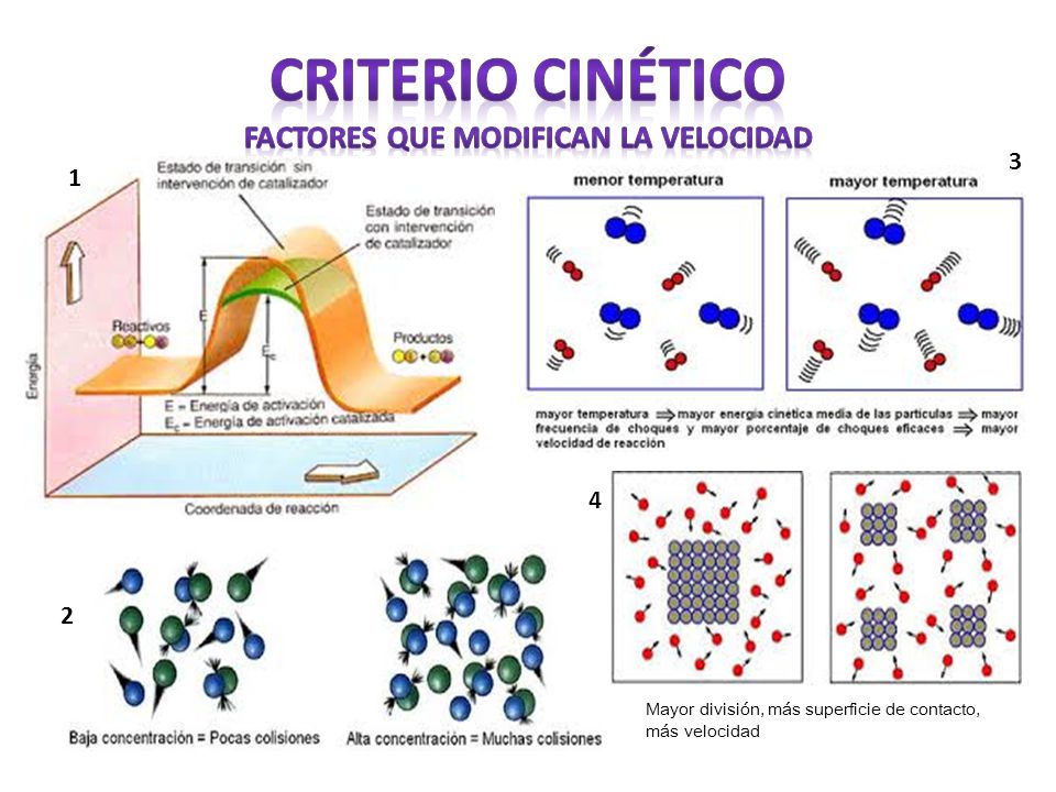 CRITERIO CINÉTICO FACTORES QUE MODIFICAN LA VELOCIDAD