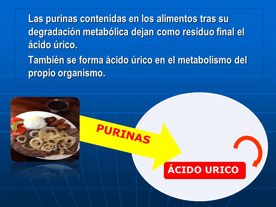 Las purinas contenidas en los alimentos tras su degradación metabólica dejan como residuo final el ácido úrico.