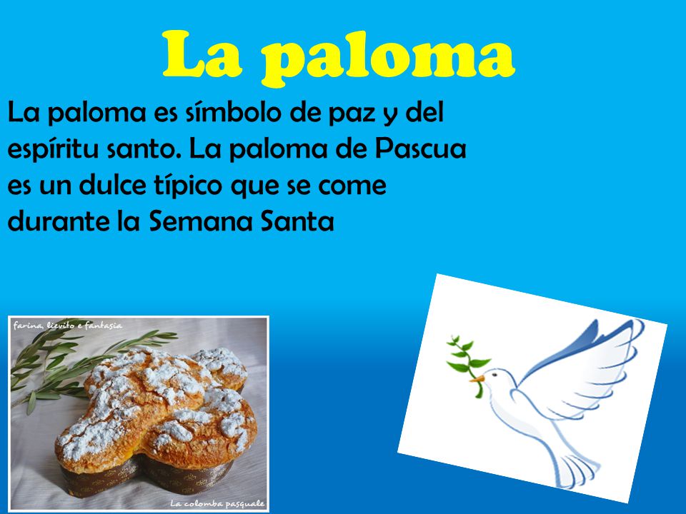 La paloma La paloma es símbolo de paz y del espíritu santo.