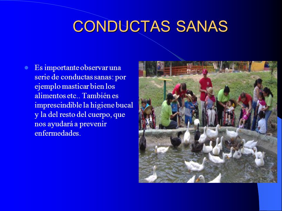 CONDUCTAS SANAS
