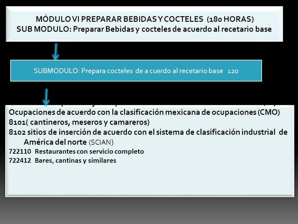 SUB MODULO: Preparar Bebidas y cocteles de acuerdo al recetario base