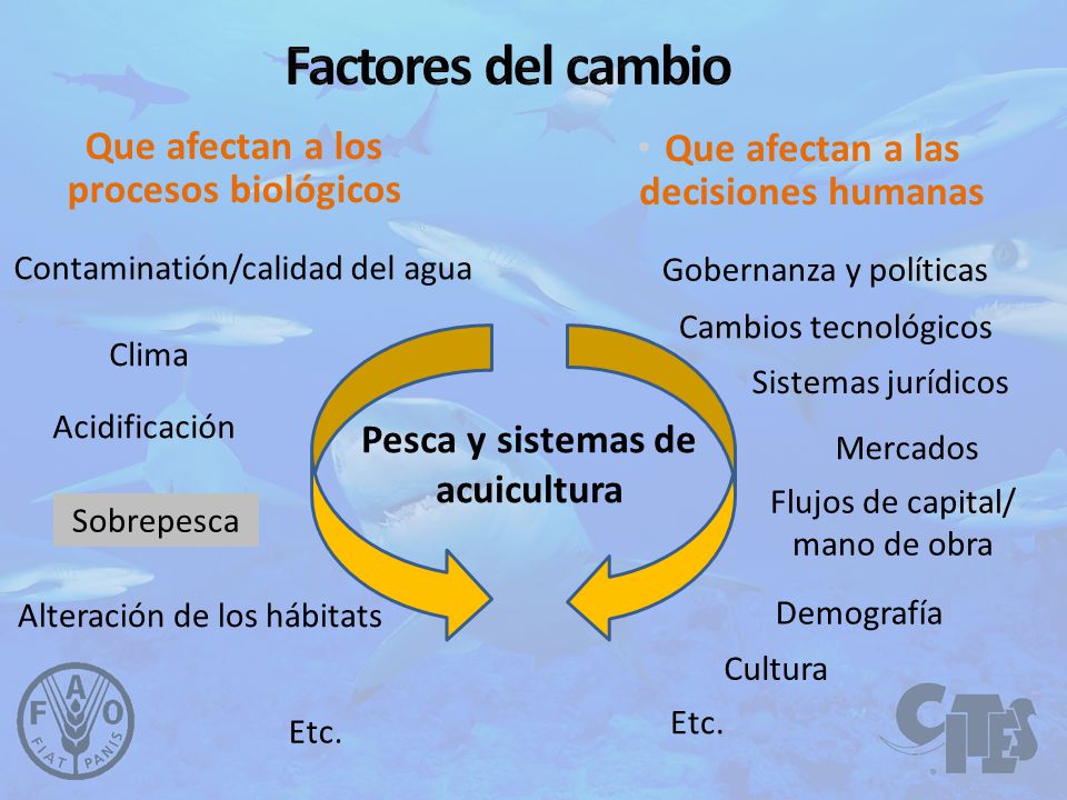 Factores del cambio Que afectan a los procesos biológicos