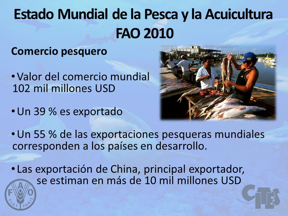 Estado Mundial de la Pesca y la Acuicultura FAO 2010