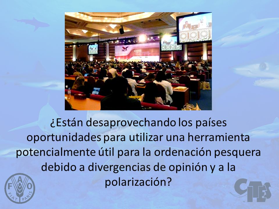 ¿Están desaprovechando los países oportunidades para utilizar una herramienta potencialmente útil para la ordenación pesquera debido a divergencias de opinión y a la polarización