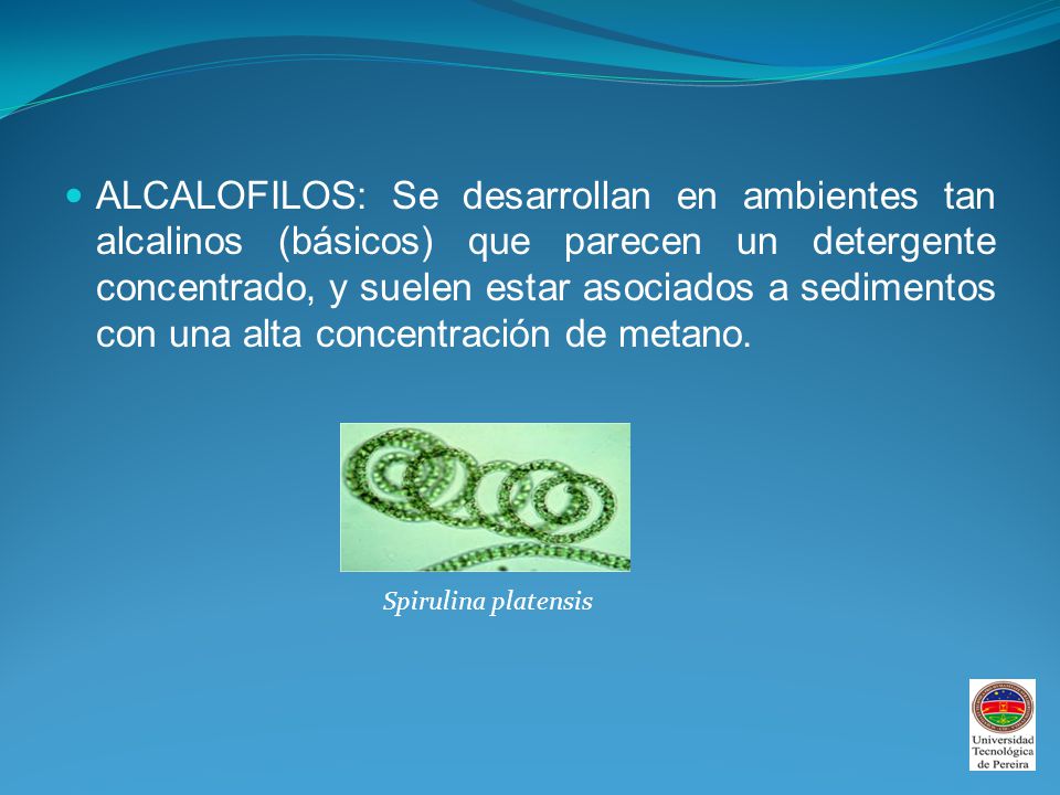 ALCALOFILOS: Se desarrollan en ambientes tan alcalinos (básicos) que parecen un detergente concentrado, y suelen estar asociados a sedimentos con una alta concentración de metano.