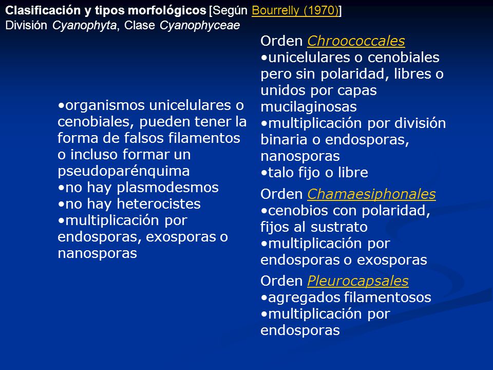 multiplicación por endosporas, exosporas o nanosporas