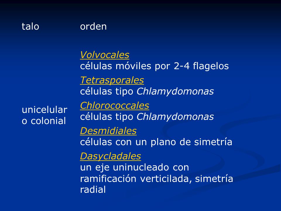 talo orden. unicelular o colonial. Volvocales células móviles por 2-4 flagelos. Tetrasporales células tipo Chlamydomonas.