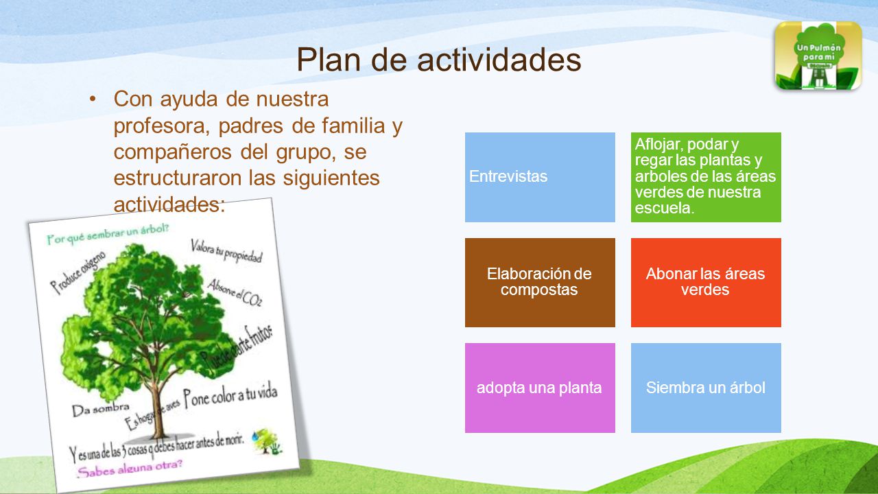 Plan de actividades Con ayuda de nuestra profesora, padres de familia y compañeros del grupo, se estructuraron las siguientes actividades: