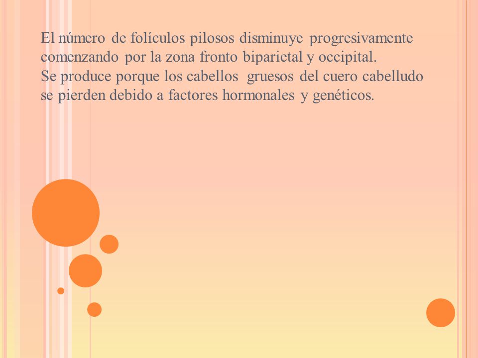 El número de folículos pilosos disminuye progresivamente comenzando por la zona fronto biparietal y occipital.