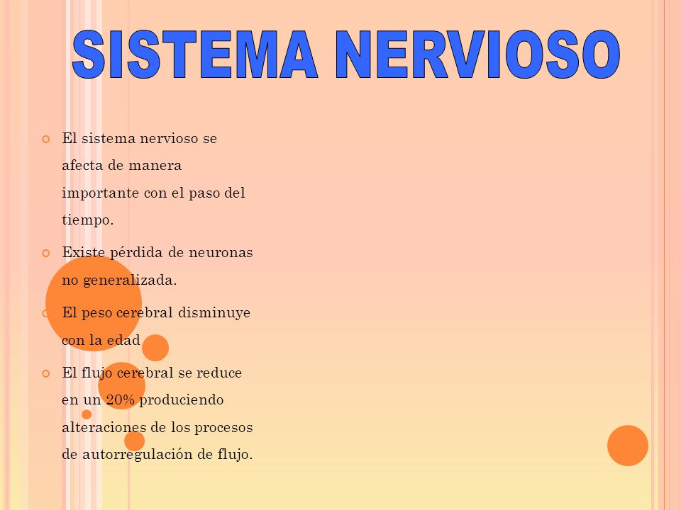 SISTEMA NERVIOSO El sistema nervioso se afecta de manera importante con el paso del tiempo. Existe pérdida de neuronas no generalizada.