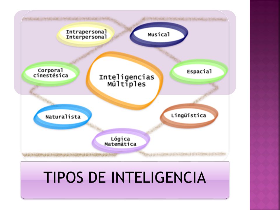 TIPOS DE INTELIGENCIA Howard Gardner el que propuso en 1983 su modelo de Inteligencias Múltiples que son 8.