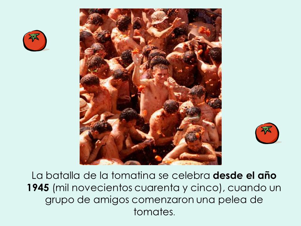 La batalla de la tomatina se celebra desde el año 1945 (mil novecientos cuarenta y cinco), cuando un grupo de amigos comenzaron una pelea de tomates.