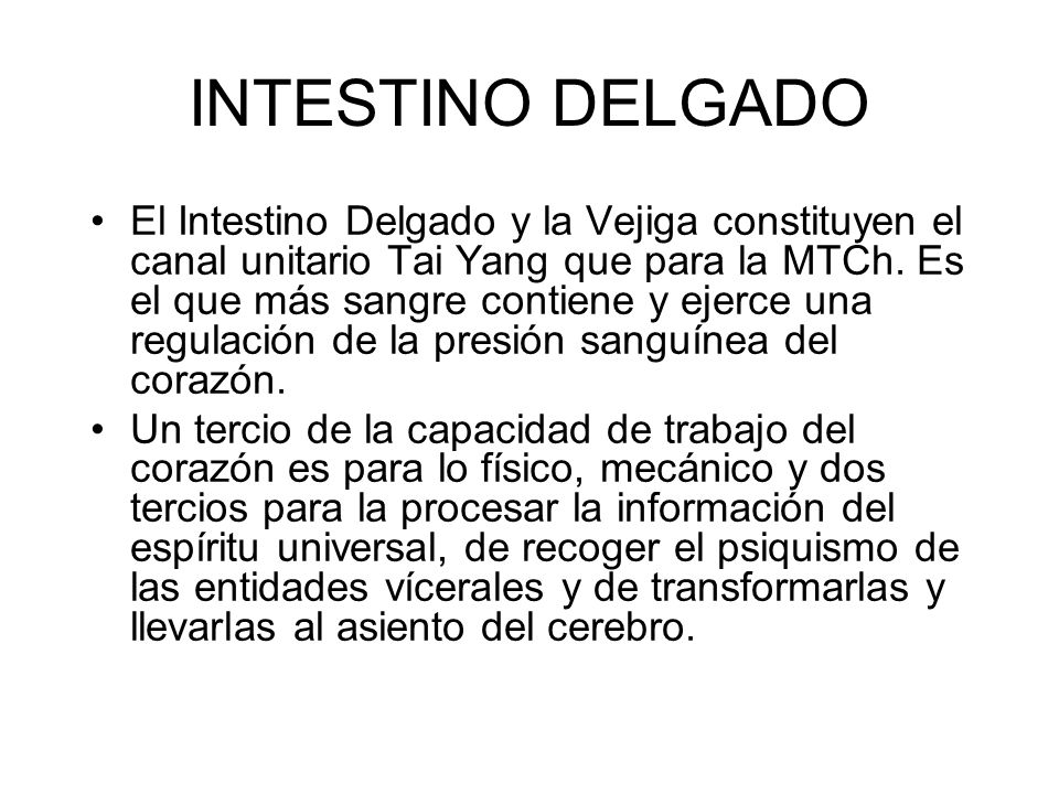 INTESTINO DELGADO