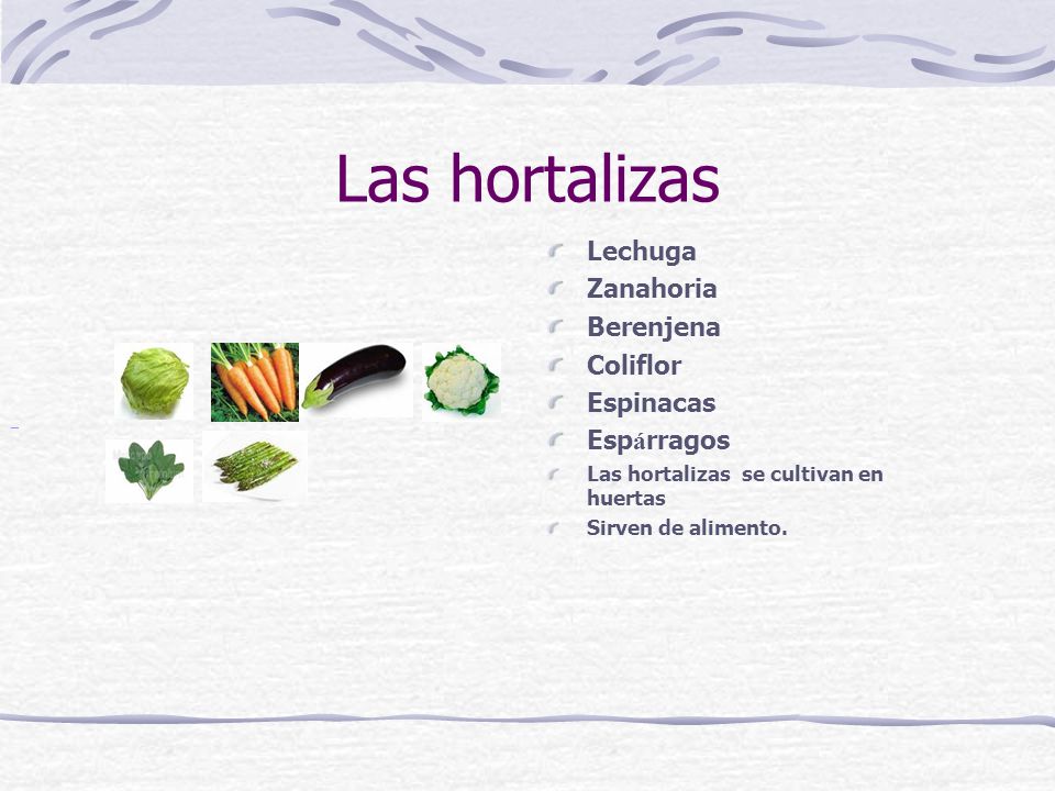 Las hortalizas Lechuga Zanahoria Berenjena Coliflor Espinacas
