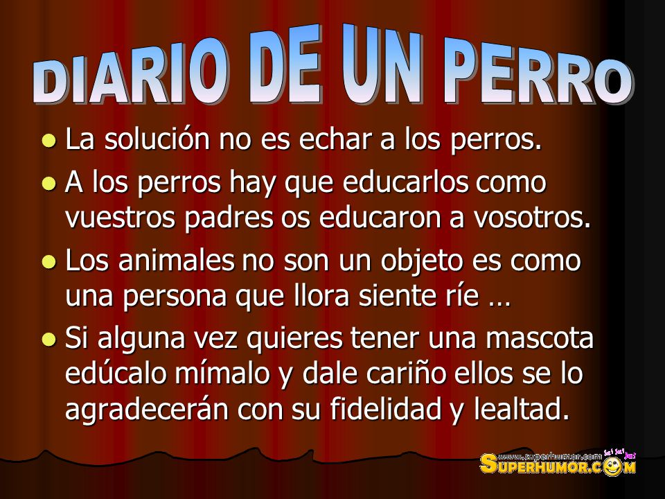DIARIO DE UN PERRO La solución no es echar a los perros.