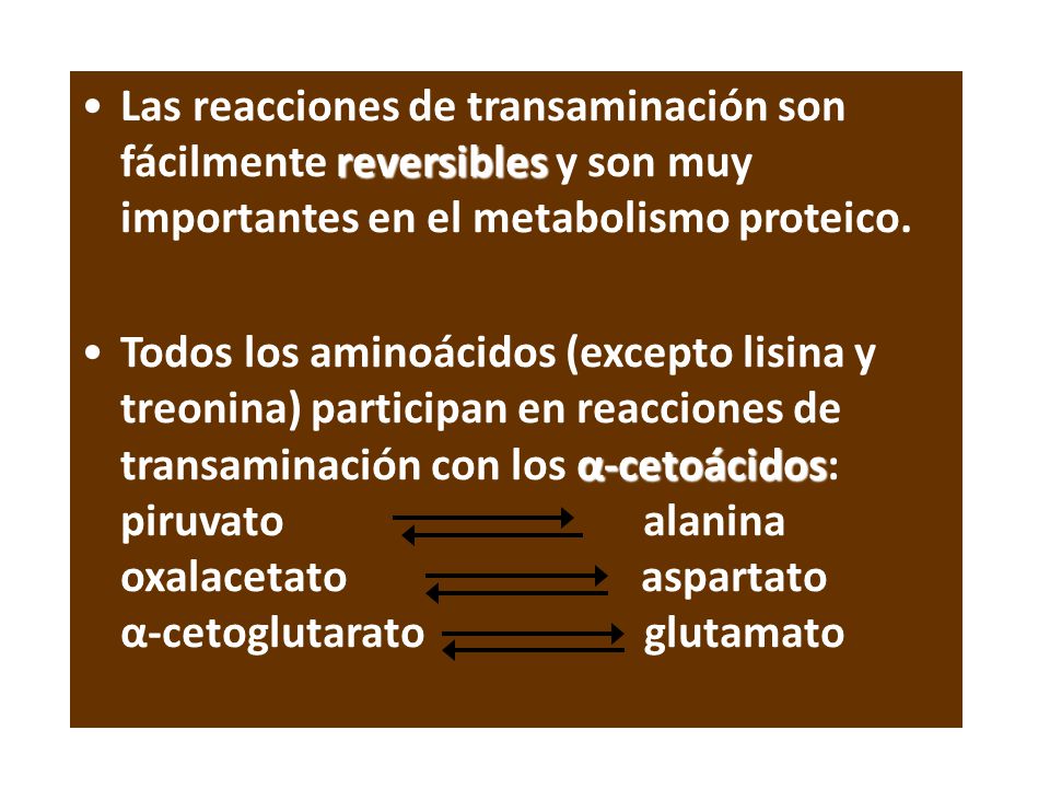 Las reacciones de transaminación son fácilmente reversibles y son muy importantes en el metabolismo proteico.