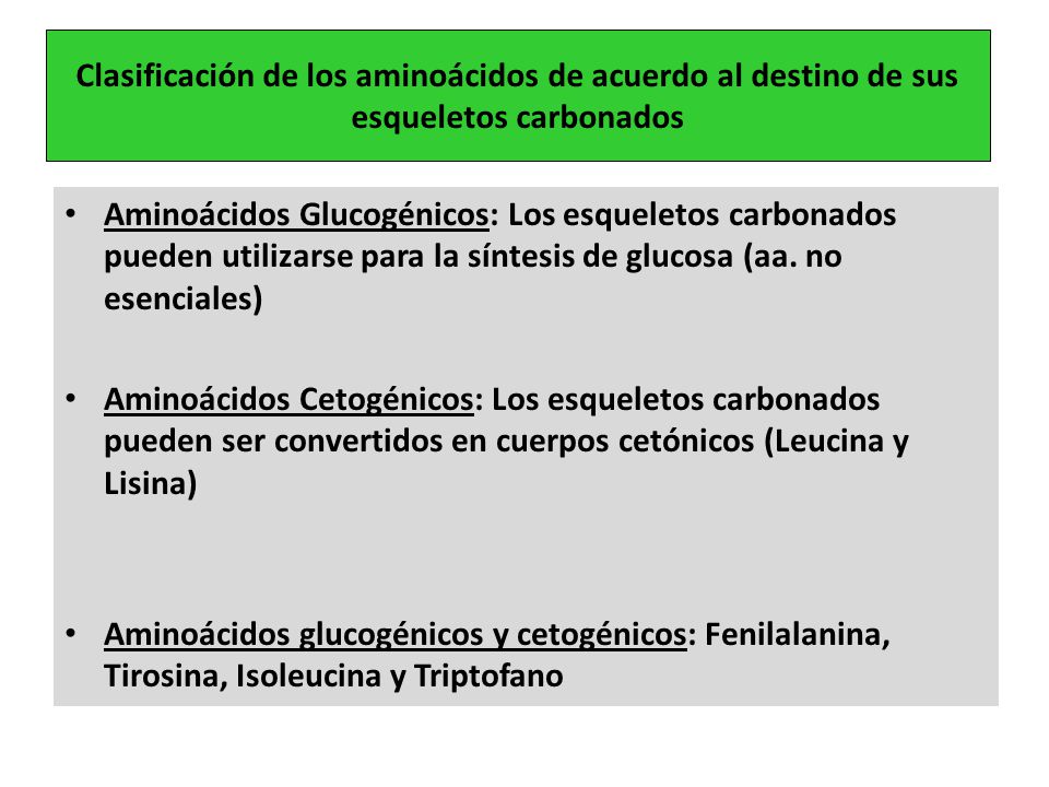 Clasificación de los aminoácidos de acuerdo al destino de sus esqueletos carbonados