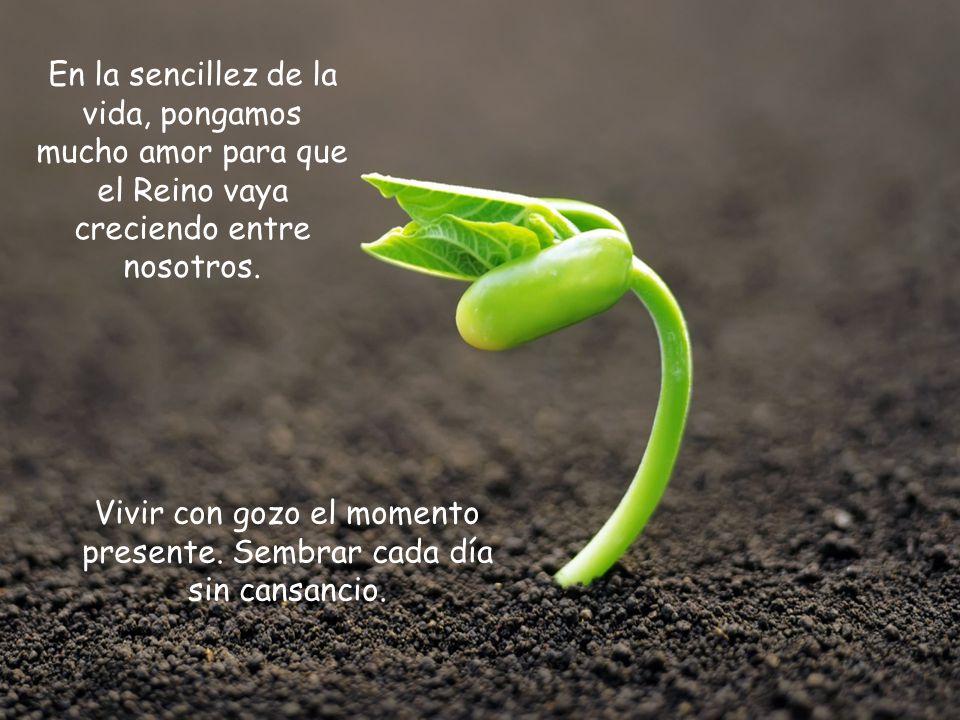Vivir con gozo el momento presente. Sembrar cada día sin cansancio.