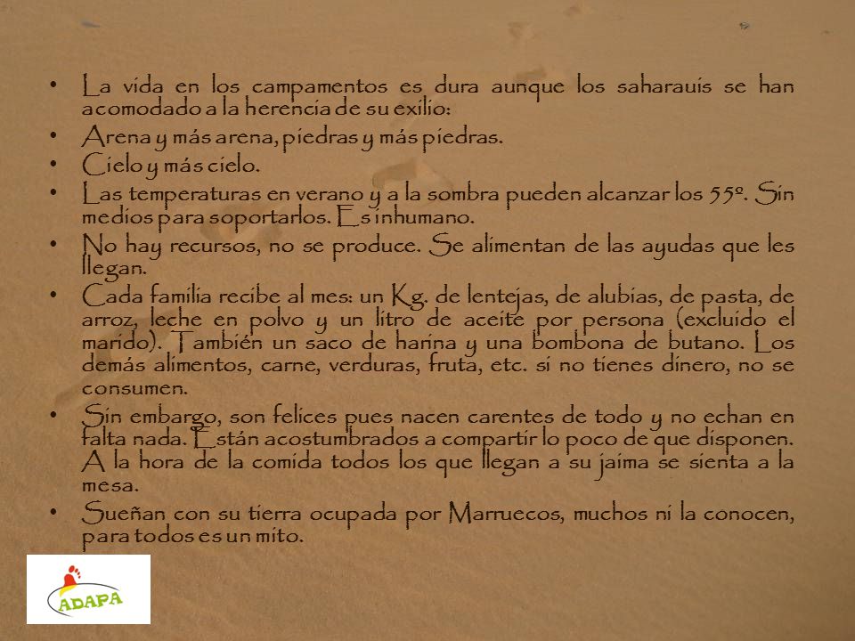 La vida en los campamentos es dura aunque los saharauis se han acomodado a la herencia de su exilio: