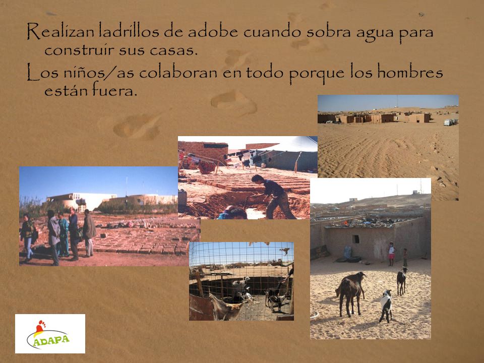 Realizan ladrillos de adobe cuando sobra agua para construir sus casas.