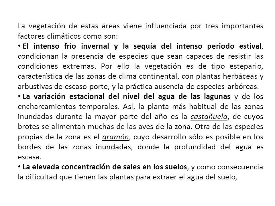 La vegetación de estas áreas viene influenciada por tres importantes factores climáticos como son: