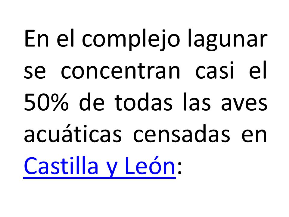 En el complejo lagunar se concentran casi el 50% de todas las aves acuáticas censadas en Castilla y León: