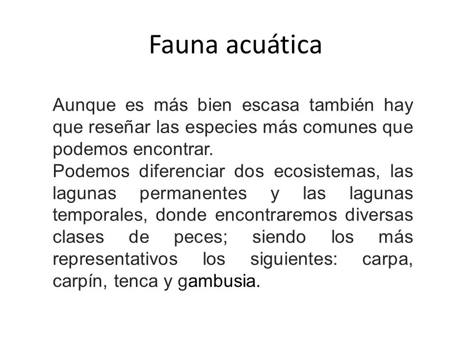 Fauna acuática Aunque es más bien escasa también hay que reseñar las especies más comunes que podemos encontrar.
