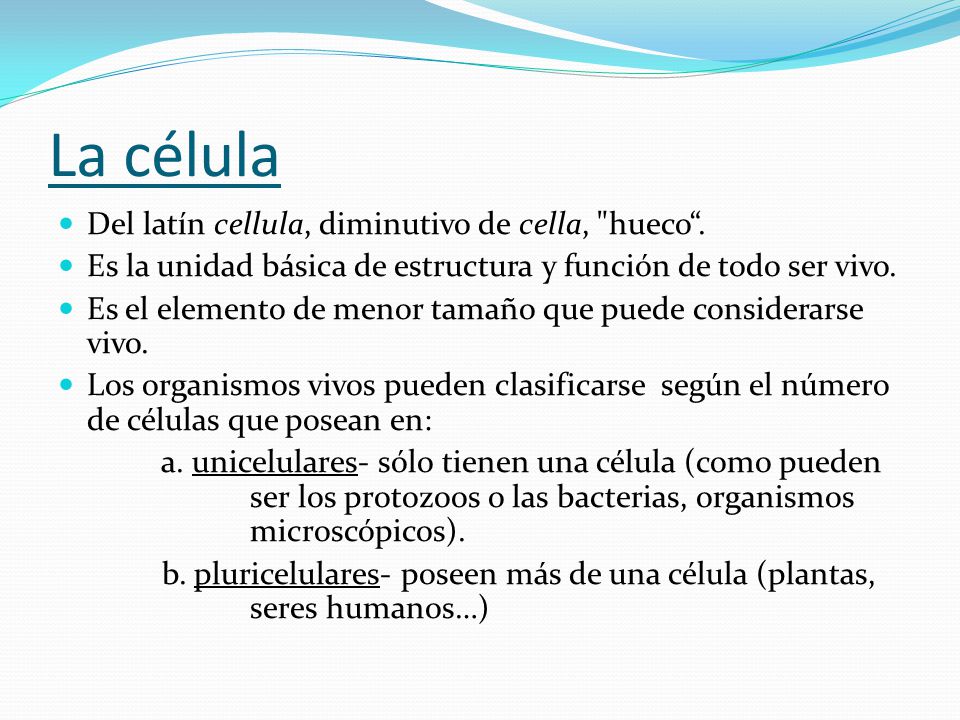 La célula Del latín cellula, diminutivo de cella, hueco .