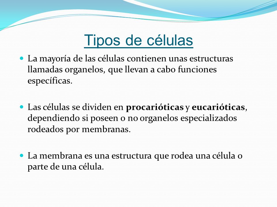 Tipos de células La mayoría de las células contienen unas estructuras llamadas organelos, que llevan a cabo funciones específicas.