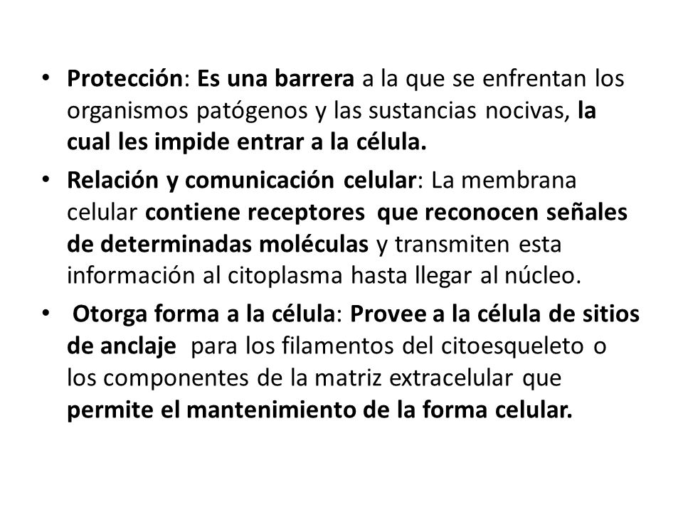 Protección: Es una barrera a la que se enfrentan los organismos patógenos y las sustancias nocivas, la cual les impide entrar a la célula.