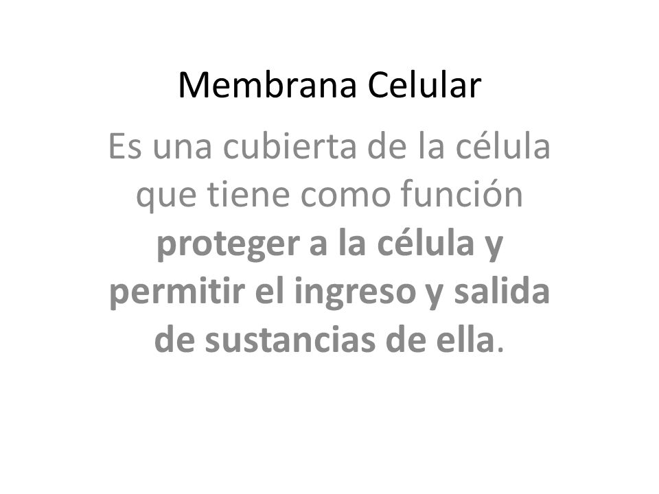 Membrana Celular Es una cubierta de la célula que tiene como función proteger a la célula y permitir el ingreso y salida de sustancias de ella.