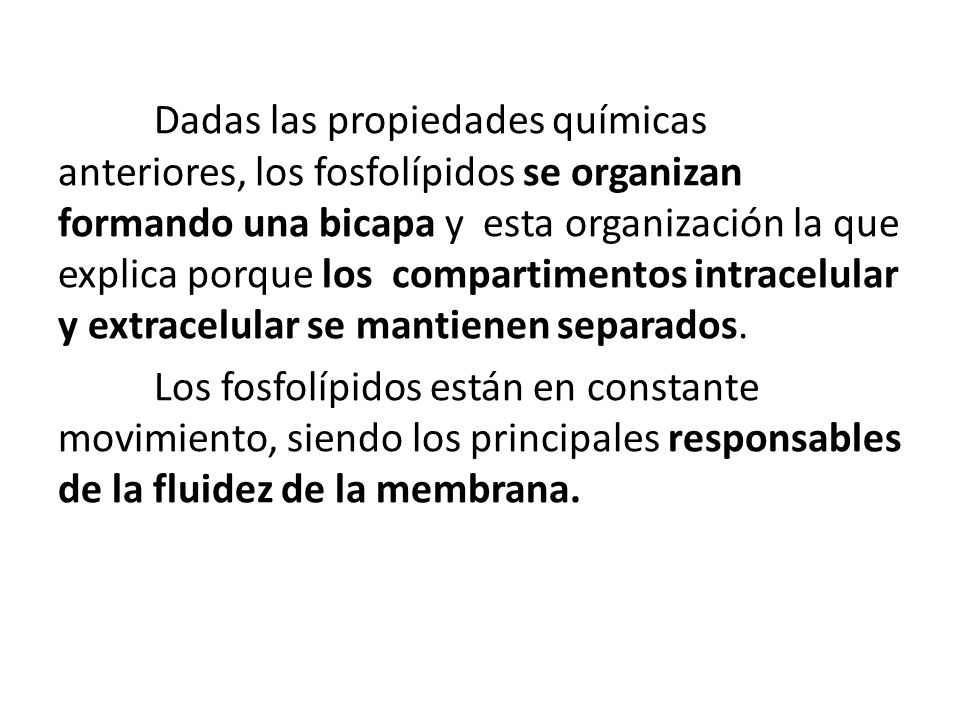 Dadas las propiedades químicas anteriores, los fosfolípidos se organizan formando una bicapa y esta organización la que explica porque los compartimentos intracelular y extracelular se mantienen separados.