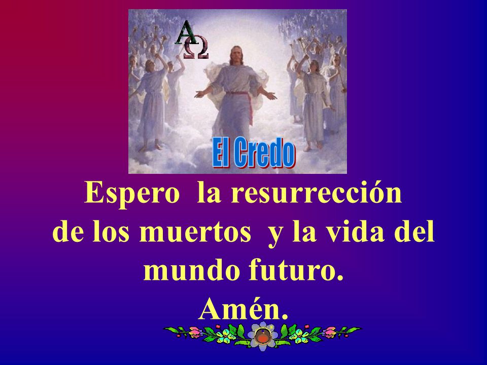 El Credo Espero la resurrección de los muertos y la vida del mundo futuro.