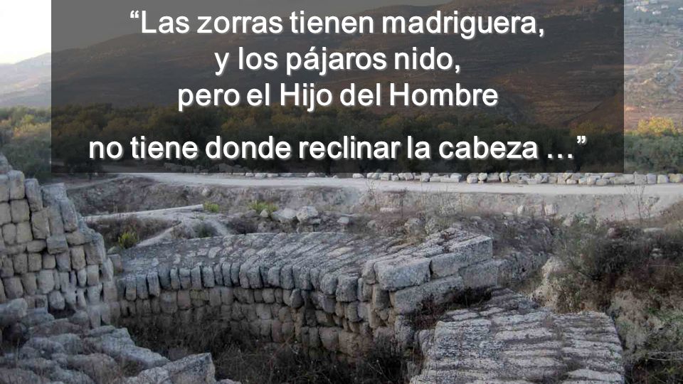 Las zorras tienen madriguera, y los pájaros nido, pero el Hijo del Hombre no tiene donde reclinar la cabeza …