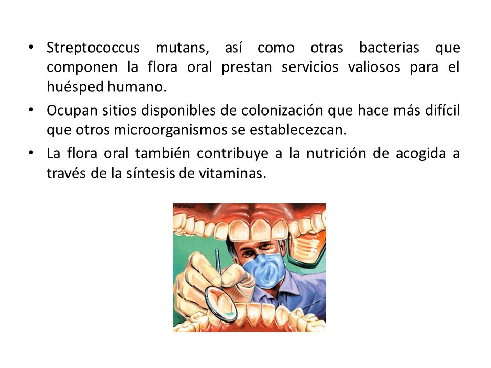Streptococcus mutans, así como otras bacterias que componen la flora oral prestan servicios valiosos para el huésped humano.