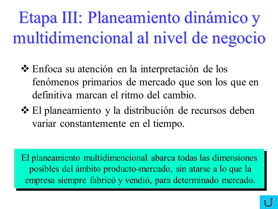 Etapa III: Planeamiento dinámico y multidimencional al nivel de negocio