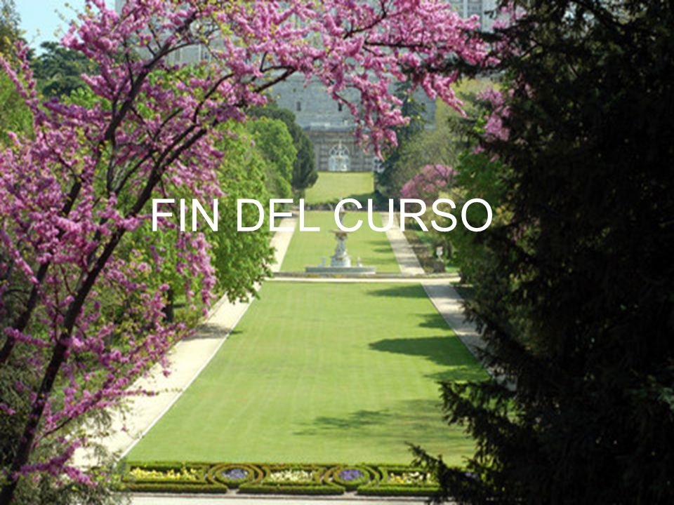 FIN DEL CURSO