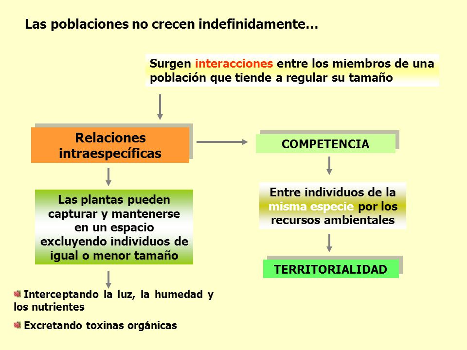 Relaciones intraespecíficas