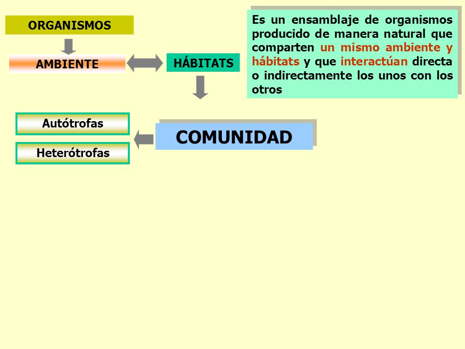 Es un ensamblaje de organismos producido de manera natural que comparten un mismo ambiente y hábitats y que interactúan directa o indirectamente los unos con los otros
