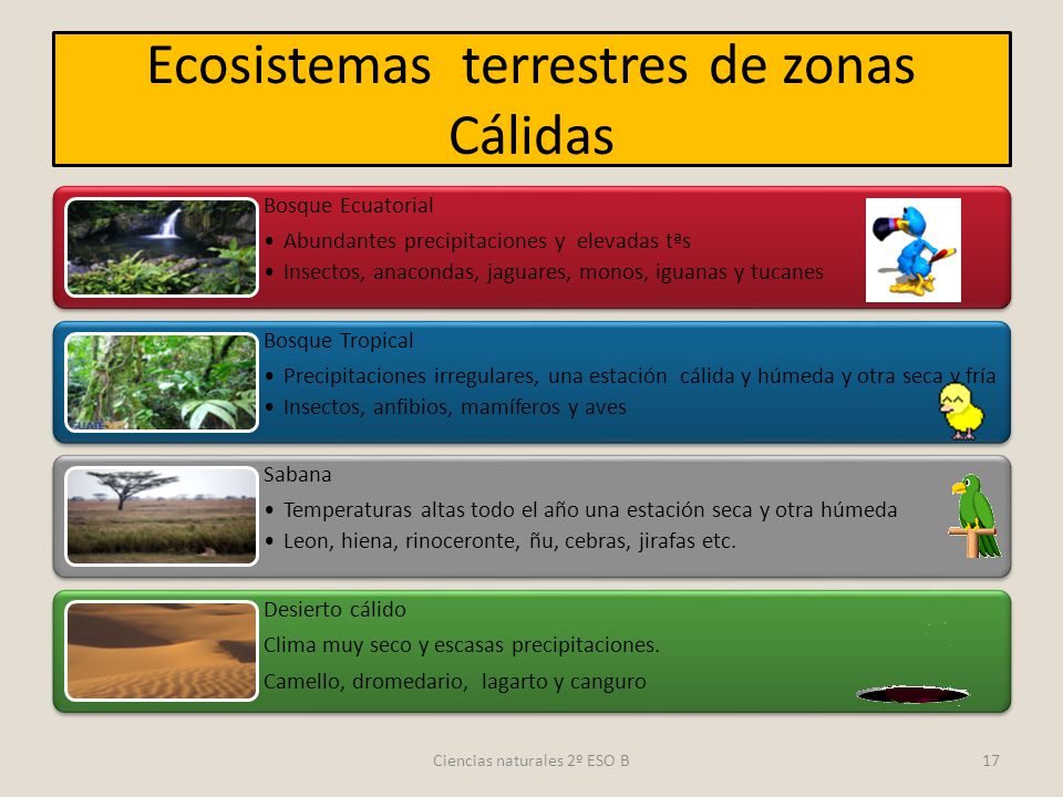 Ecosistemas terrestres de zonas Cálidas