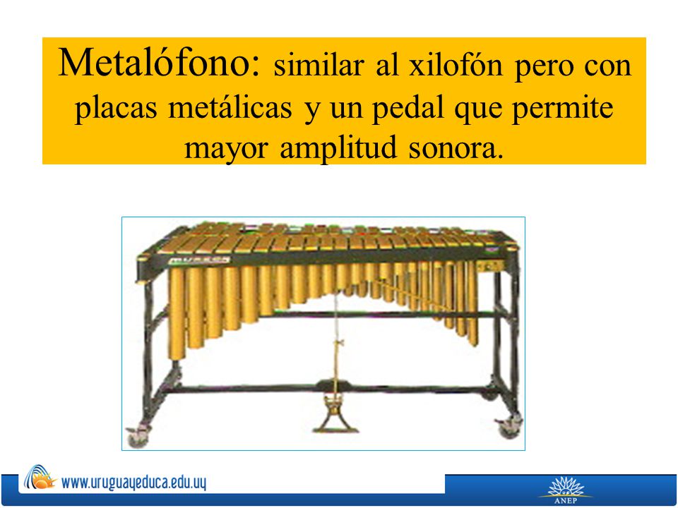 Metalófono: similar al xilofón pero con placas metálicas y un pedal que permite mayor amplitud sonora.