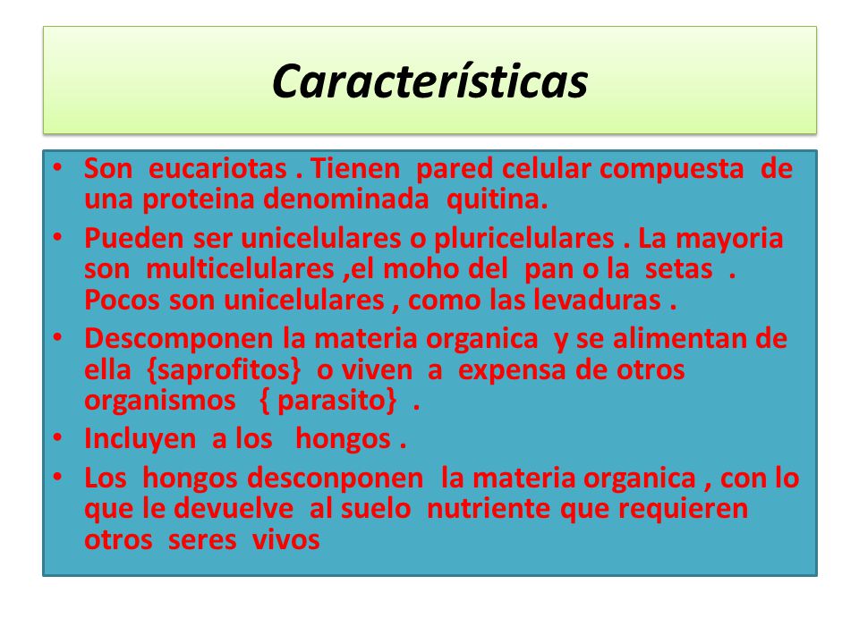 Características Son eucariotas . Tienen pared celular compuesta de una proteina denominada quitina.