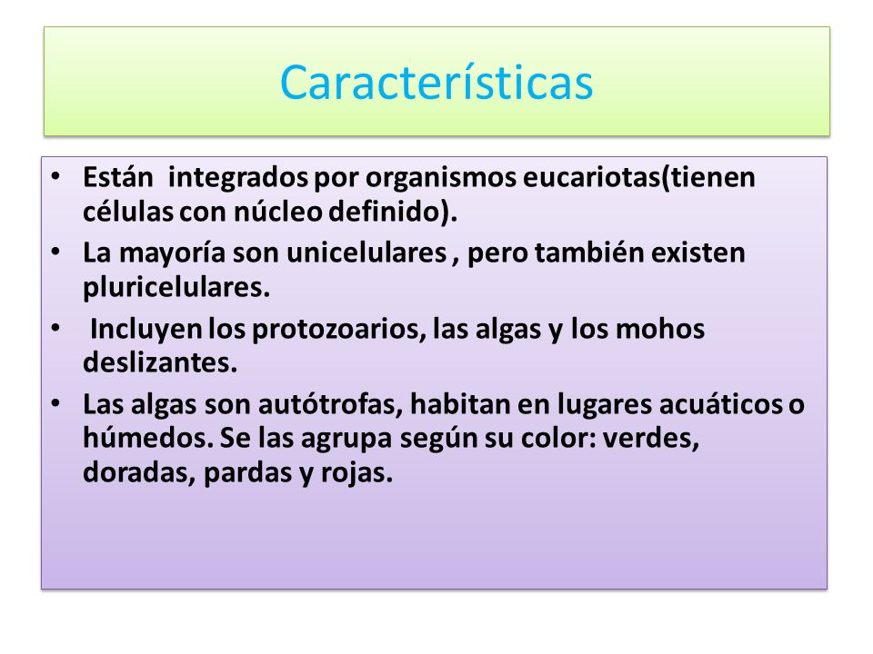 Características Están integrados por organismos eucariotas(tienen células con núcleo definido).