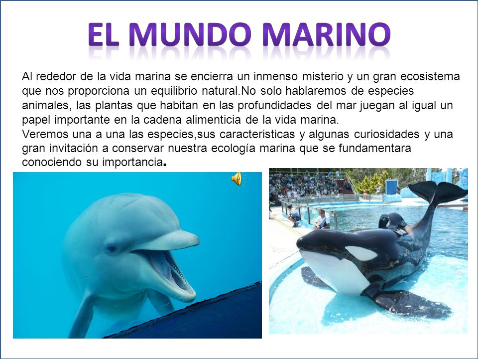 Al rededor de la que nos El mundo marino.