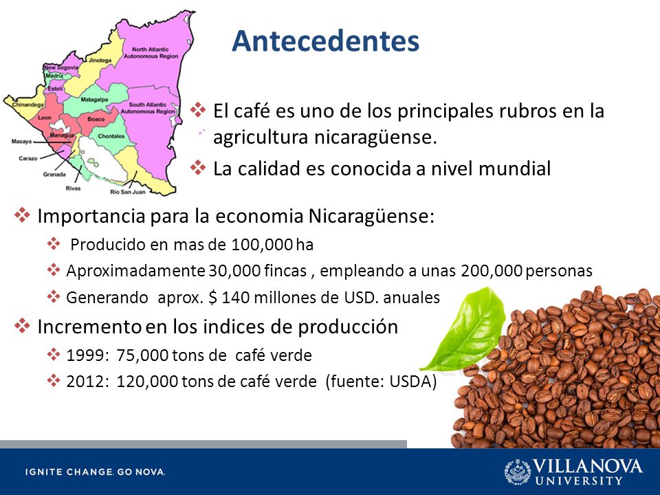 Antecedentes El café es uno de los principales rubros en la agricultura nicaragüense. La calidad es conocida a nivel mundial.