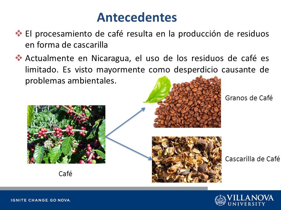 Antecedentes El procesamiento de café resulta en la producción de residuos en forma de cascarilla.