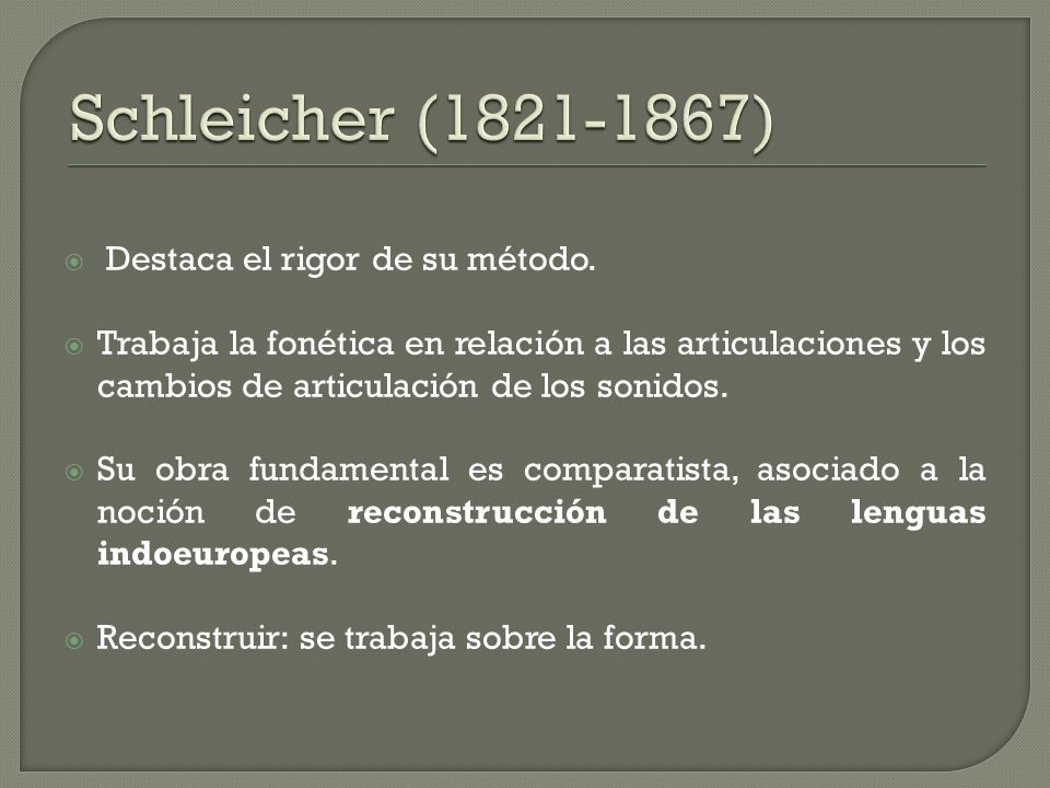 Schleicher ( ) Destaca el rigor de su método.