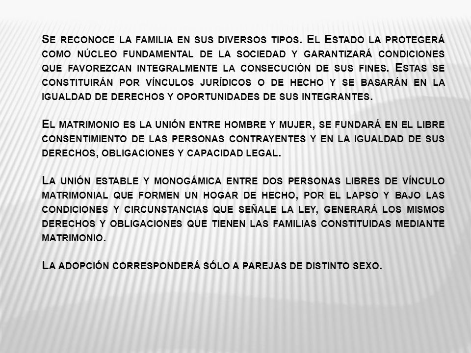 Se reconoce la familia en sus diversos tipos
