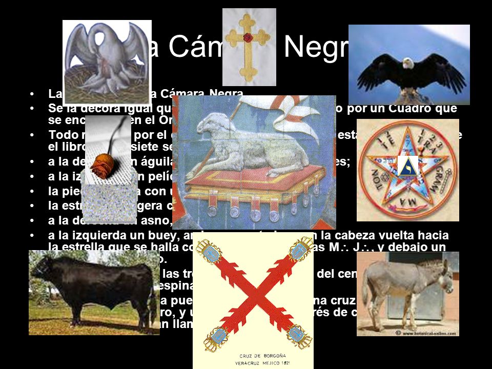 La Cámara Negra La 7° Cámara es la Cámara Negra.