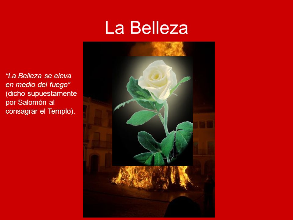 La Belleza La Belleza se eleva en medio del fuego
